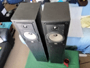 Celestion 15 speakers - black