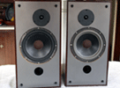 Energy ESM-3 speakers - redwood
