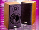 JPW ML 510 speakers