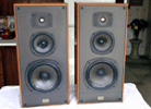 Celestion DL10 speakers