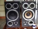 Wharfedale E50 speakers