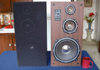 Onkyo S-22 speakers - walnut