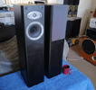 Celestion F20 speakers - black