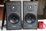 Tannoy series 90 E11 speakers