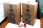 Peerless B100 tower speakers - walnut